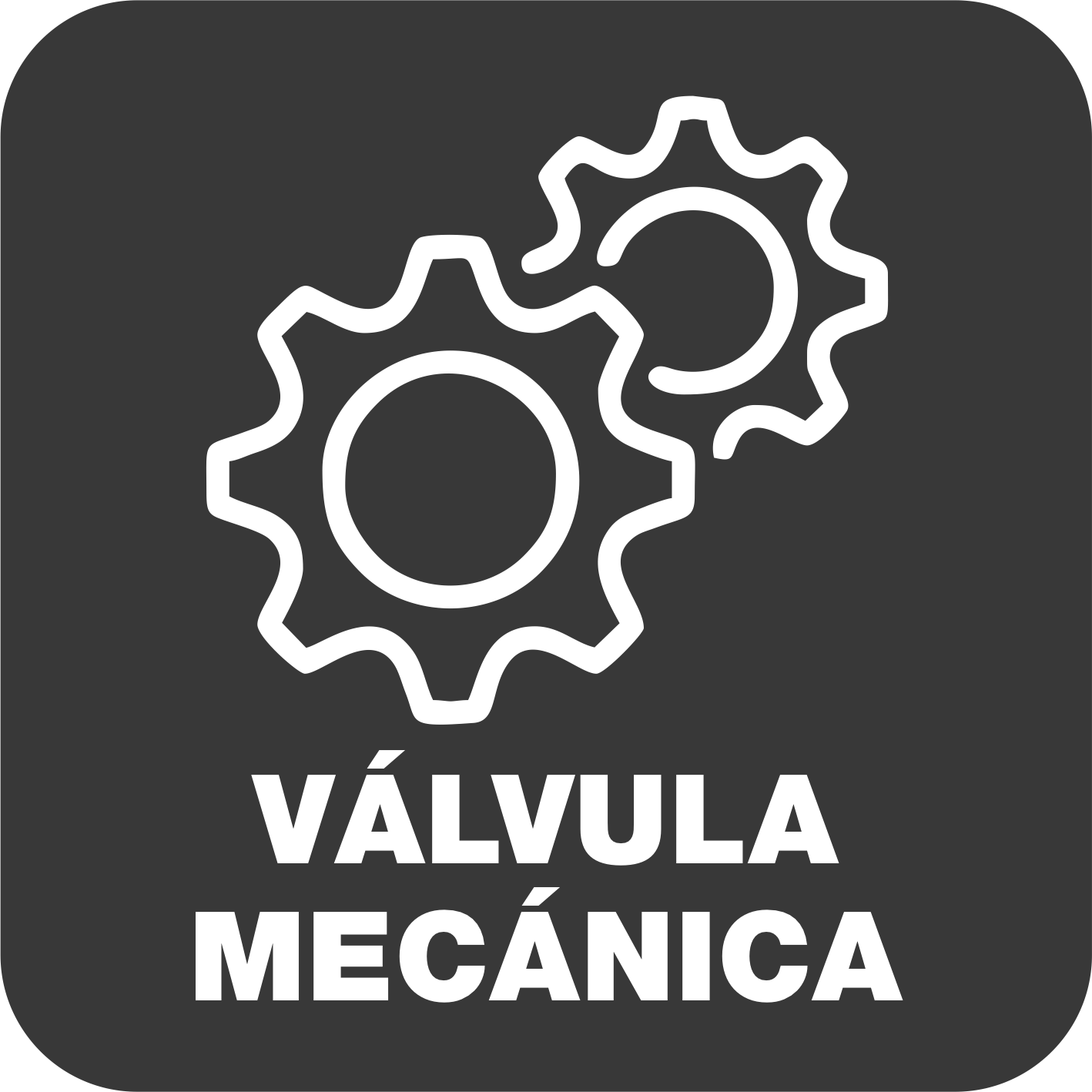 Valvula Mecanica